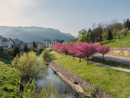 Zagorje ob Savi tudi letos v finalu Moja dežela – znak gostoljubnosti 2026