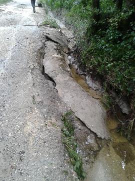 13557710_10210159095883163_9129672486597072355_n