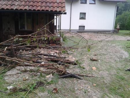 13600087_10210159097403201_3780341005762932079_n