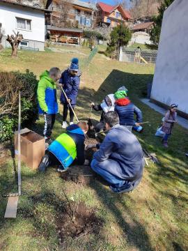 Os-Ivana-Kavcica-maline-4