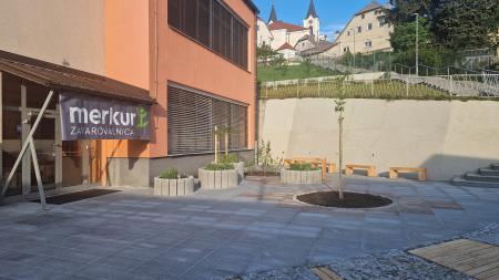 OŠ Ivana Skvarče je gostila 45. državno prvenstvo mladih čebelarjev