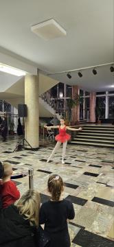 IMG-bd877a08777b4e282bbdf41d596bf57b-V