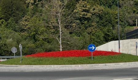 Danes zvečer navijamo za Primoža
