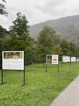 Ulična razstava na temo mobilnosti