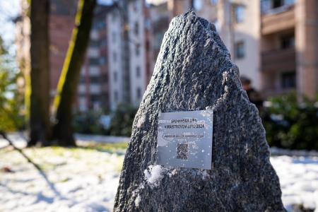 V parku dr. Janeza Drnovška Maistrova lipa