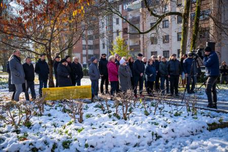 V parku dr. Janeza Drnovška Maistrova lipa