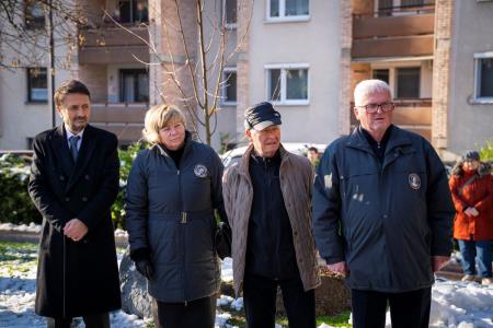 V parku dr. Janeza Drnovška Maistrova lipa