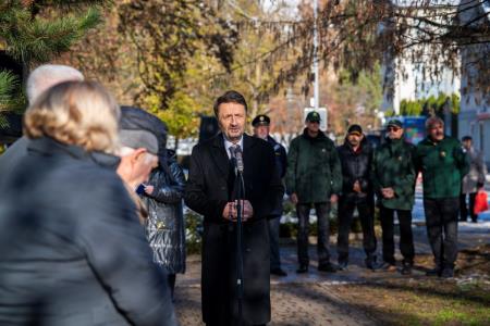 V parku dr. Janeza Drnovška Maistrova lipa