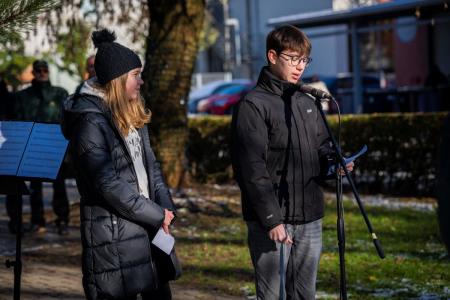 V parku dr. Janeza Drnovška Maistrova lipa