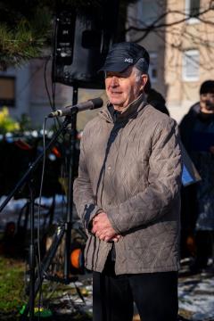 V parku dr. Janeza Drnovška Maistrova lipa