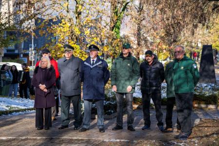 V parku dr. Janeza Drnovška Maistrova lipa