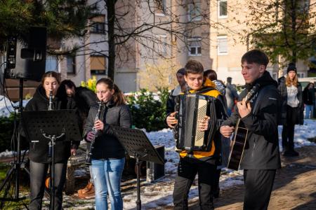V parku dr. Janeza Drnovška Maistrova lipa
