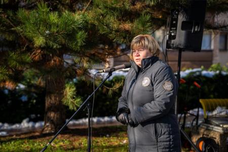 V parku dr. Janeza Drnovška Maistrova lipa