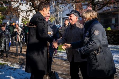 V parku dr. Janeza Drnovška Maistrova lipa