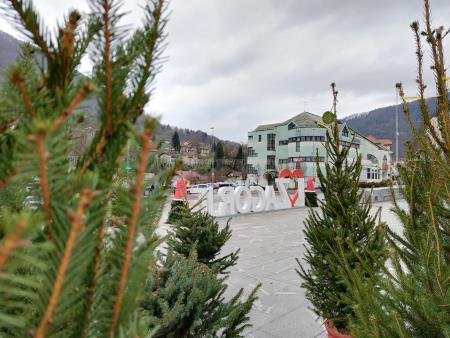 Škratkov kotiček na tržnici in božična pravljica na ploščadi