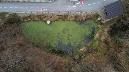 Mlaka Izlake, foto: Dejan Kerin