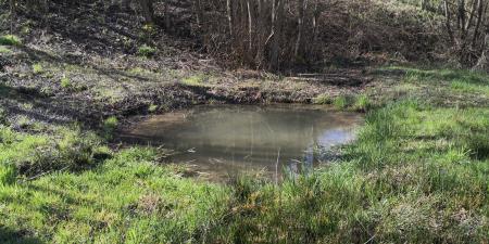 Mlaka Selo, foto: Dejan Kerin