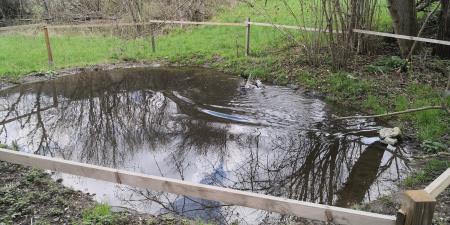 Mlaka Orlek; foto: Dejan Kerin