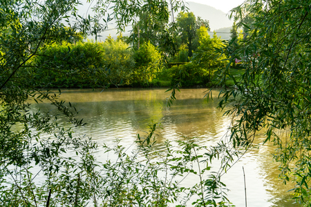 Narava_Zagorje_ob_Savi-4-Ribnik