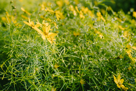 Narava_Zagorje_ob_Savi-7-Mestni_park