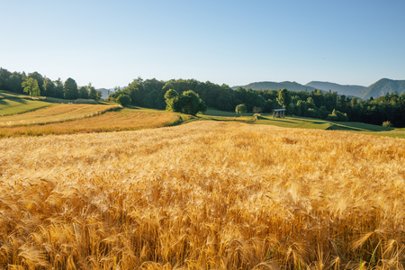 Narava_Zagorje_ob_Savi-14-Rovisce