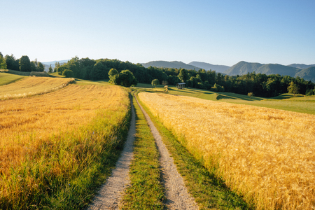 Narava_Zagorje_ob_Savi-15-Rovisce