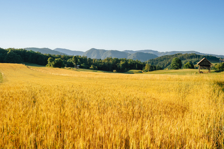 Narava_Zagorje_ob_Savi-16-Rovisce