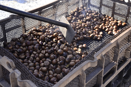 Kostanjev piknik v Evroparku