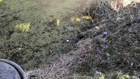 Občina obsoja vandalizem nad mlako Izlake