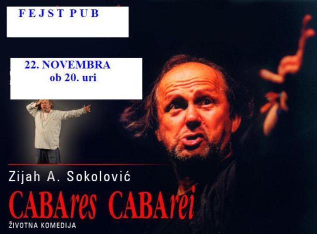 Sokolovic.jpg